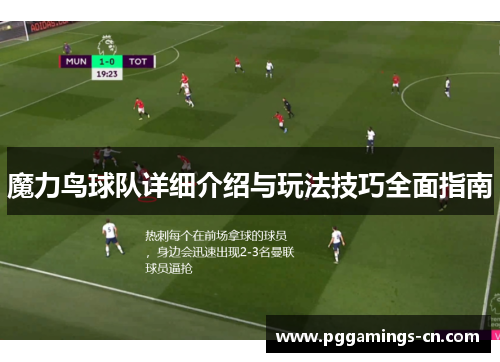 魔力鸟球队详细介绍与玩法技巧全面指南 魔力鸟球队详细介绍与玩法技巧全面指南