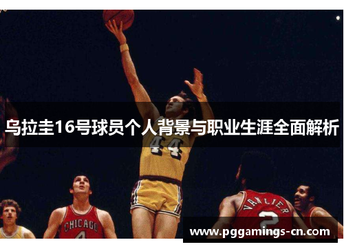 乌拉圭16号球员个人背景与职业生涯全面解析