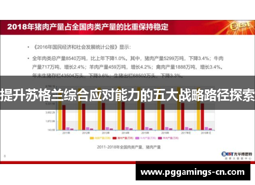 提升苏格兰综合应对能力的五大战略路径探索
