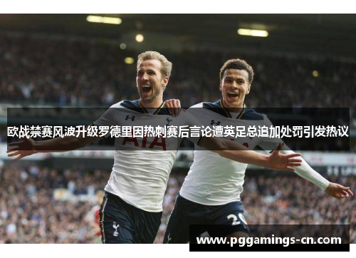 欧战禁赛风波升级罗德里因热刺赛后言论遭英足总追加处罚引发热议